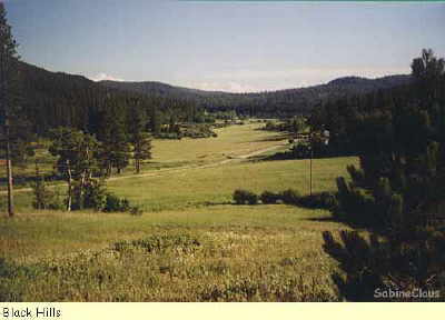 Black Hills - heilige Berge der Dakota. Dieses Bild wurde mir von Sabine Claus zur Verfügung gestellt. Danke.